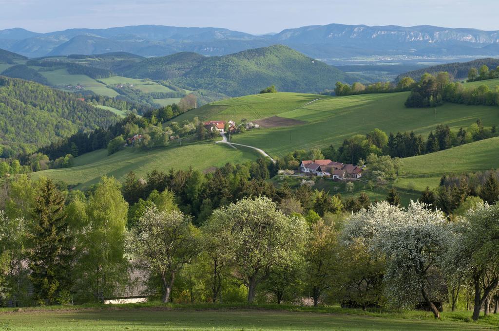 Hotel Post Hoenigwirt Kirchschlag in der Buckligen Welt Екстер'єр фото